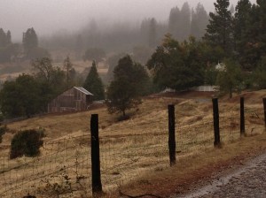 The Old Pendola Ranch