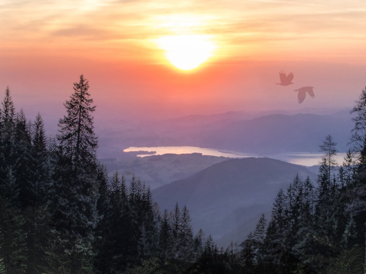 Letting Go…Moving Forward