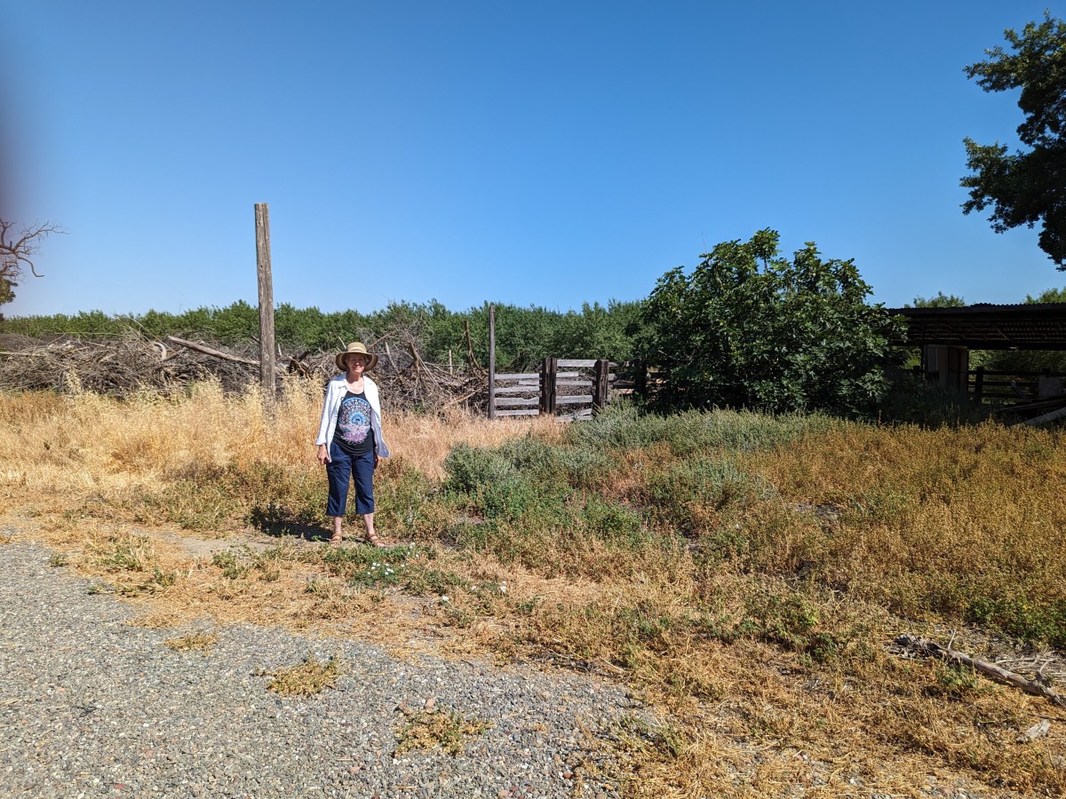 Setting Foot on Ancestor’s Soil